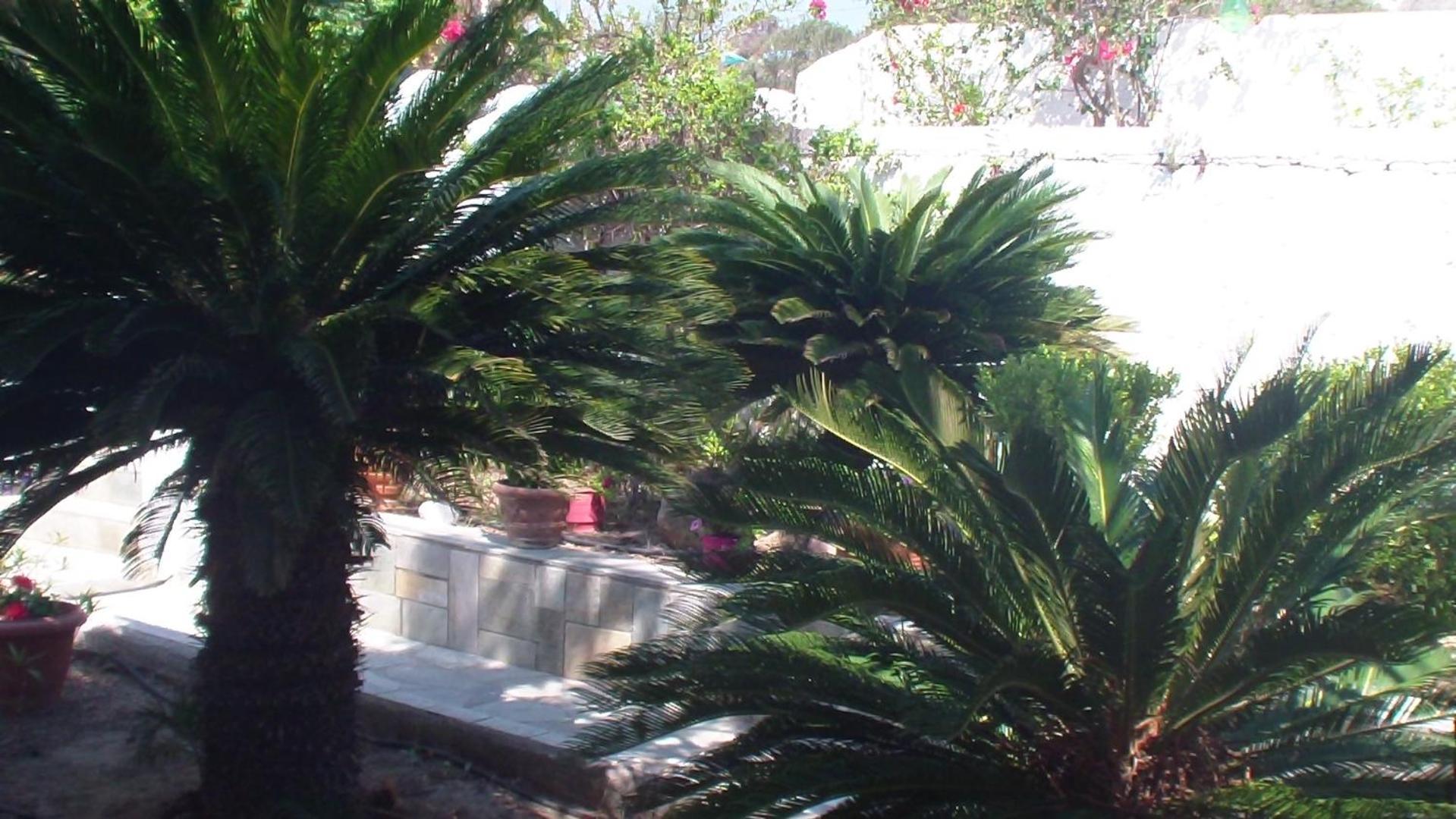 Creta Vassakis Studios 2 Κέφαλος Εξωτερικό φωτογραφία